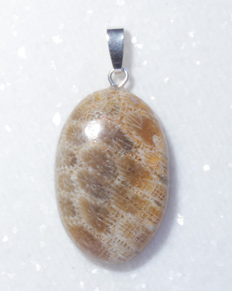 versteinerte Koralle, Anhänger, Cabochon