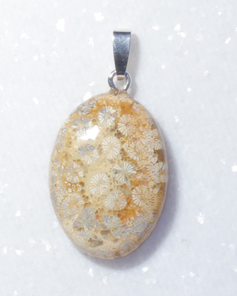versteinerte Koralle, Anhänger, Cabochon
