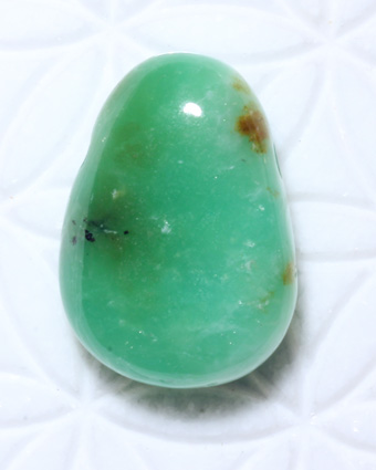 Chrysopras - Trommelstein, gebohrt