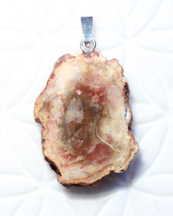 versteinertes Holz, Anhänger, Scheibe